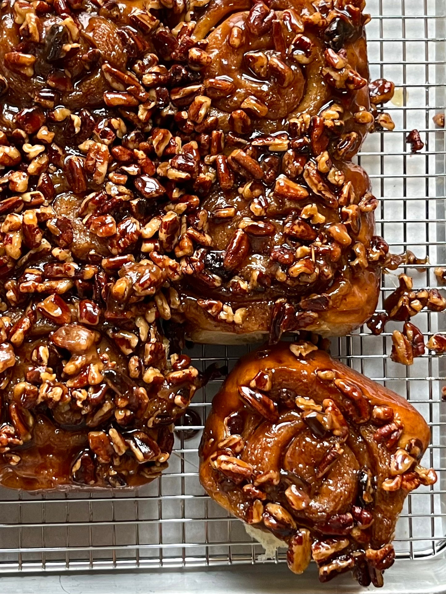 Maple Pecan Sticky Buns (6 pack)